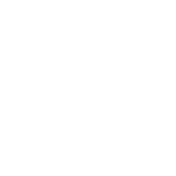 런치박스 BI